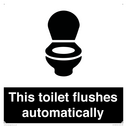 this-toilet-flushes-automatically~